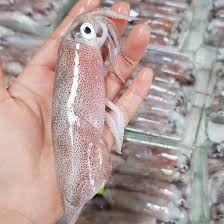 Mực ghim sữa